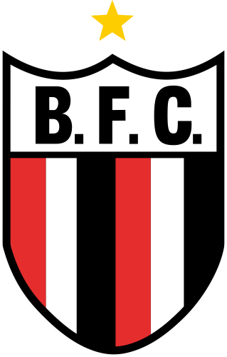 Escudo oficial de Botafogo-SP